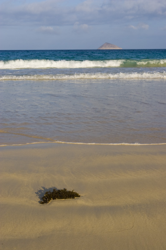 Waves Coming Into Beach